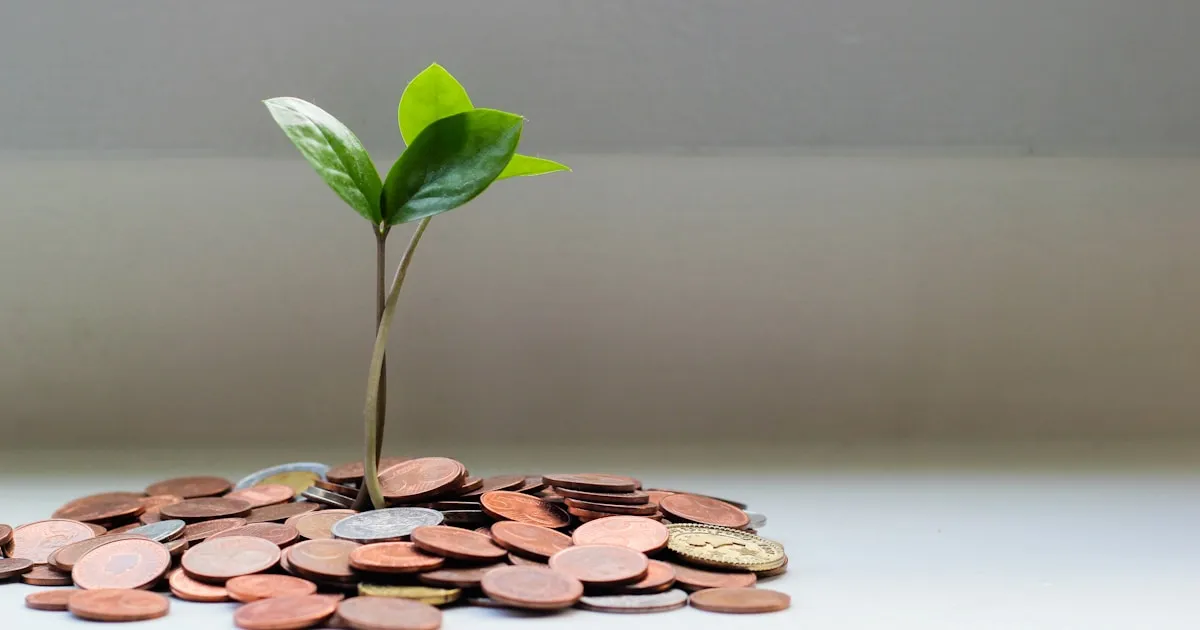 Why Cheap Websites Cost More in the Long Run